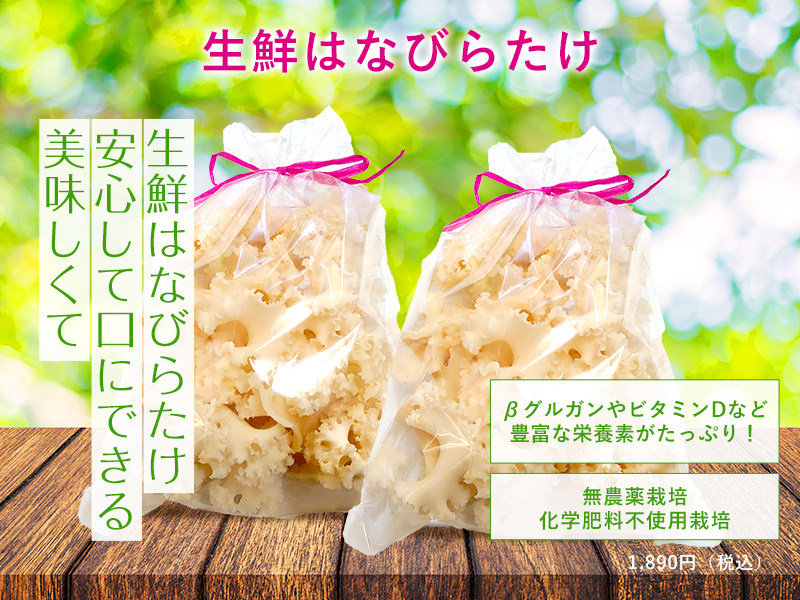 はなびらたけ専門健康食品ショップ Hanabiratake Kitchen